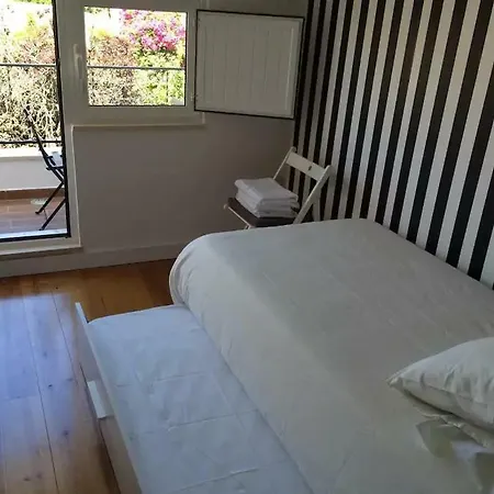 Duplex Design Apartment